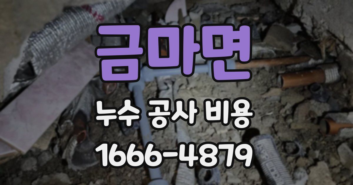 금마면 누수 공사 비용