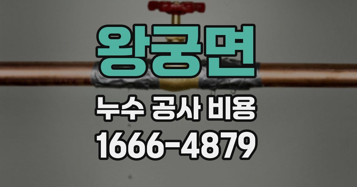 왕궁면 누수 공사 비용