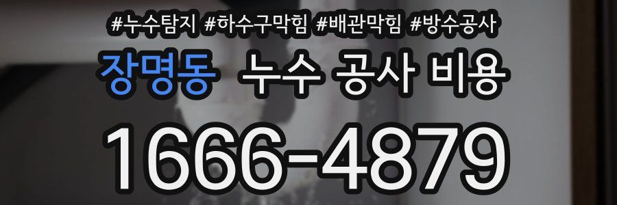 장명동 누수 공사 비용