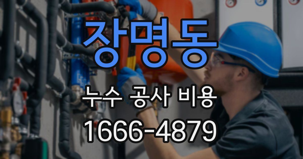 장명동 누수 공사 비용