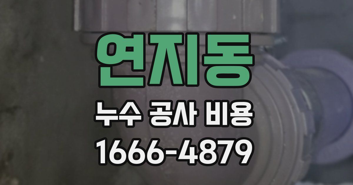 연지동 누수 공사 비용