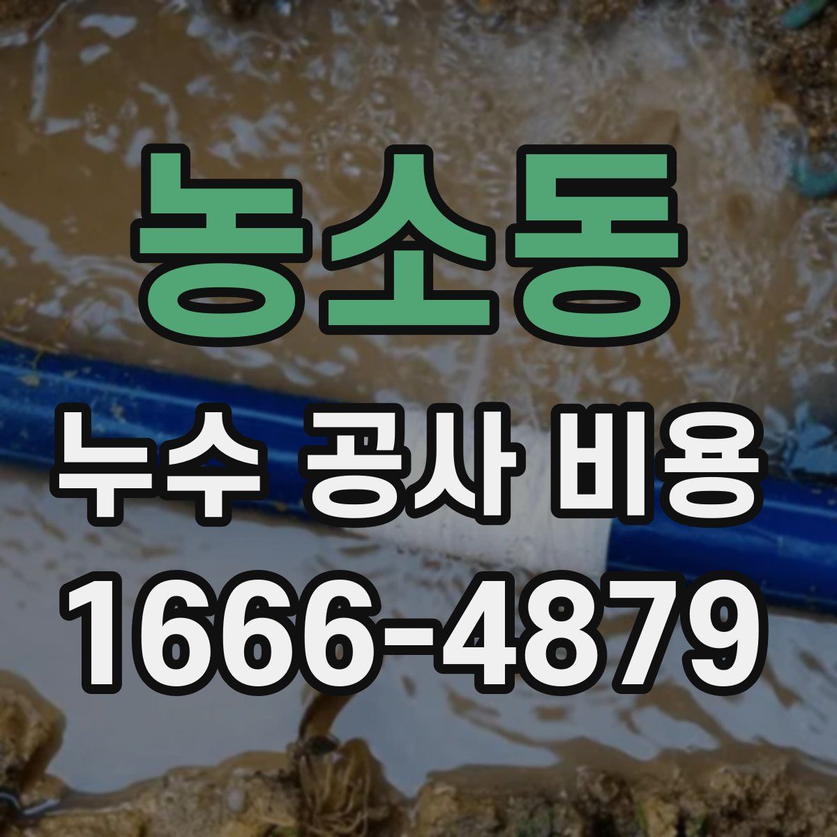 농소동 누수 공사 비용