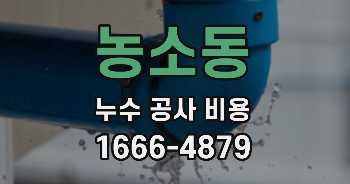 농소동 누수 공사 비용