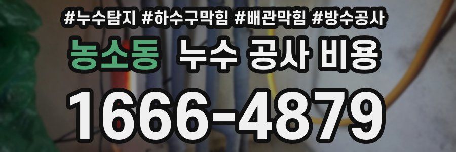 농소동 누수 공사 비용