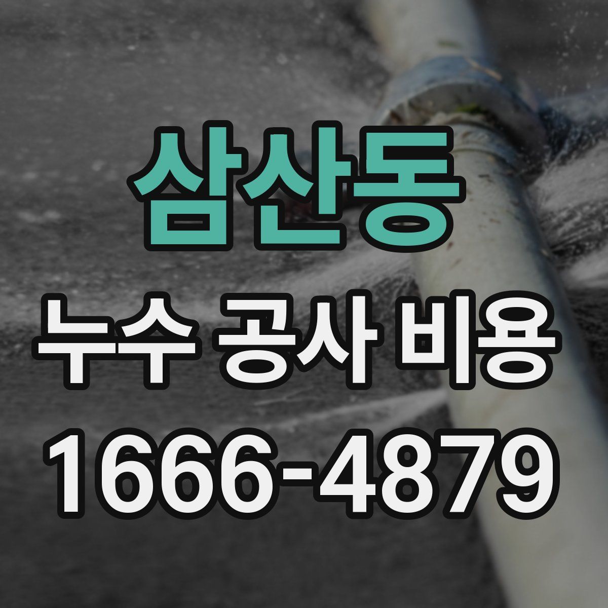 삼산동 누수 공사 비용