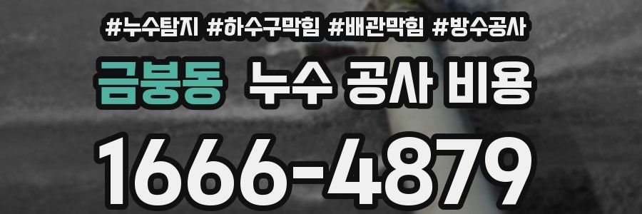금붕동 누수 공사 비용
