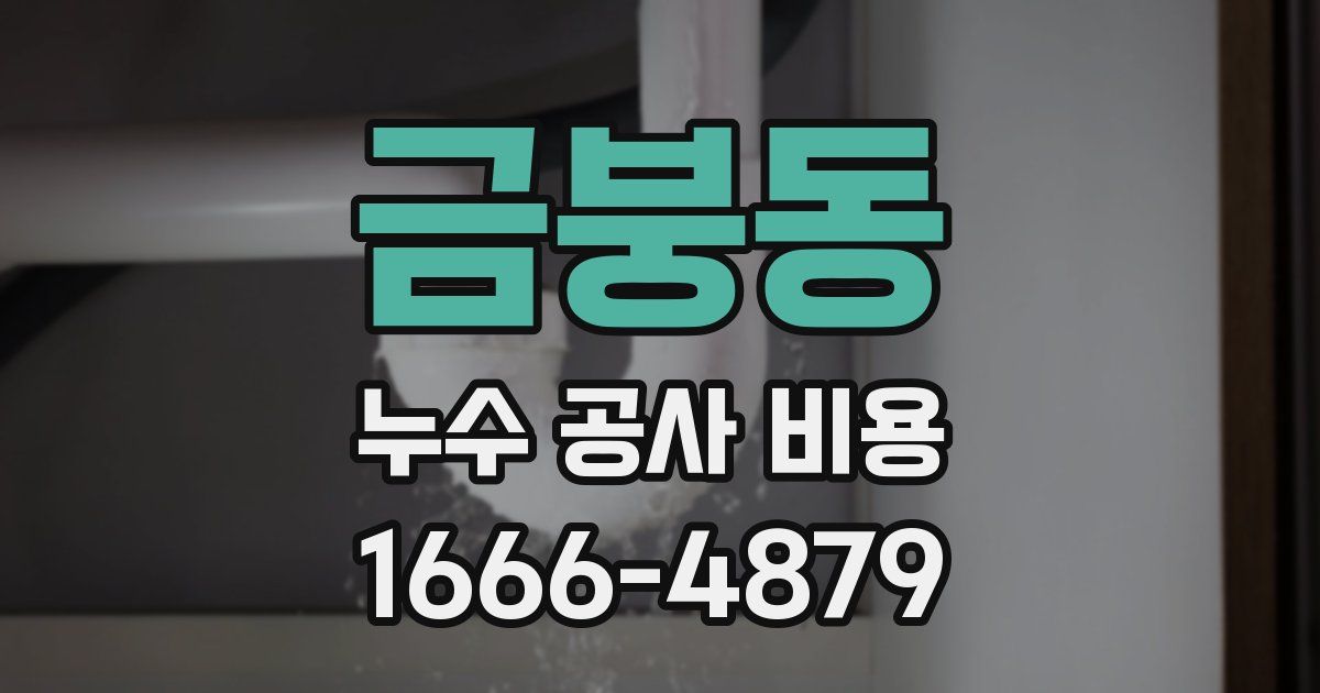 금붕동 누수 공사 비용