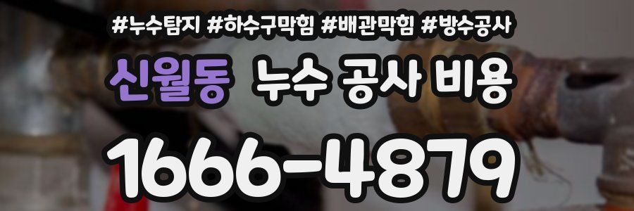 신월동 누수 공사 비용