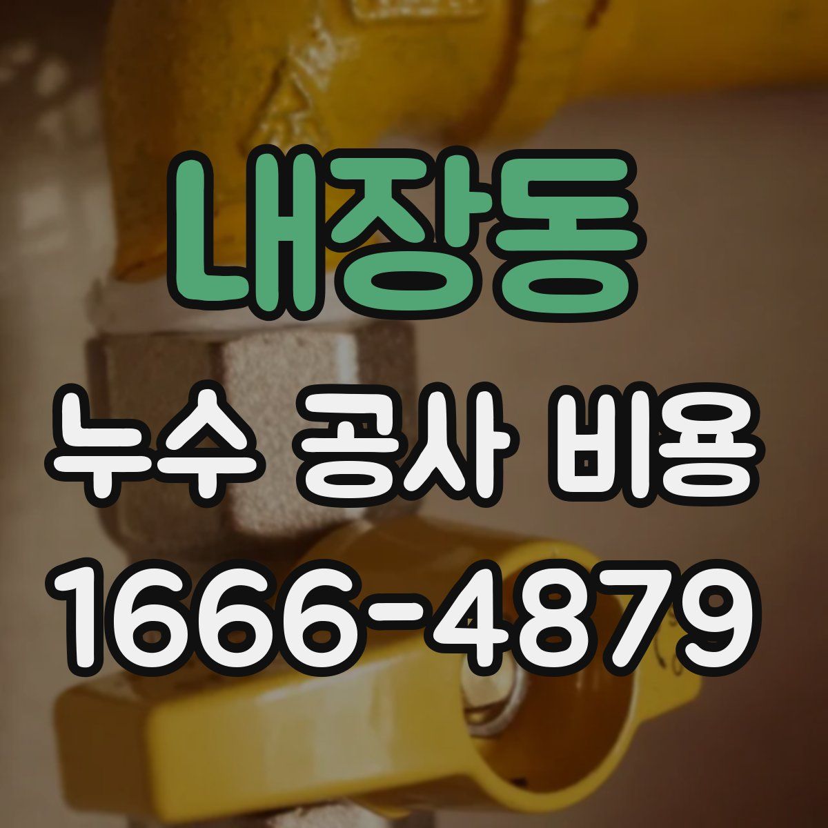 내장동 누수 공사 비용