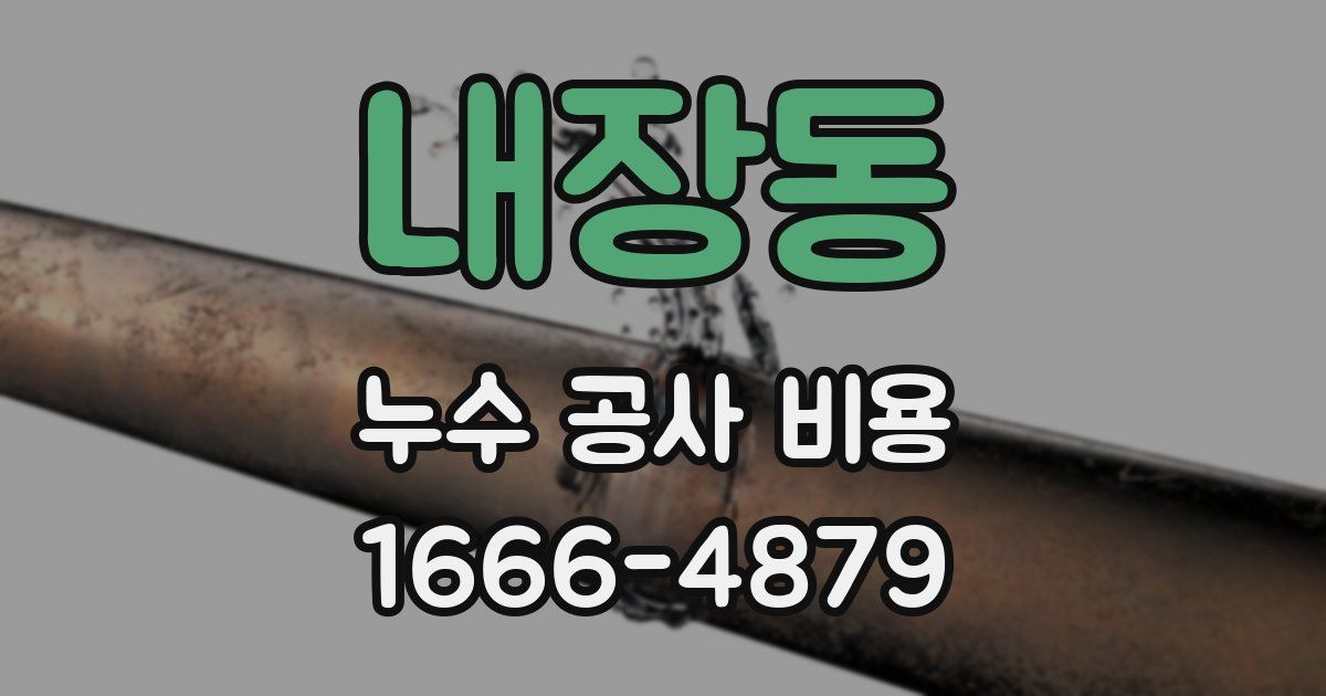 내장동 누수 공사 비용