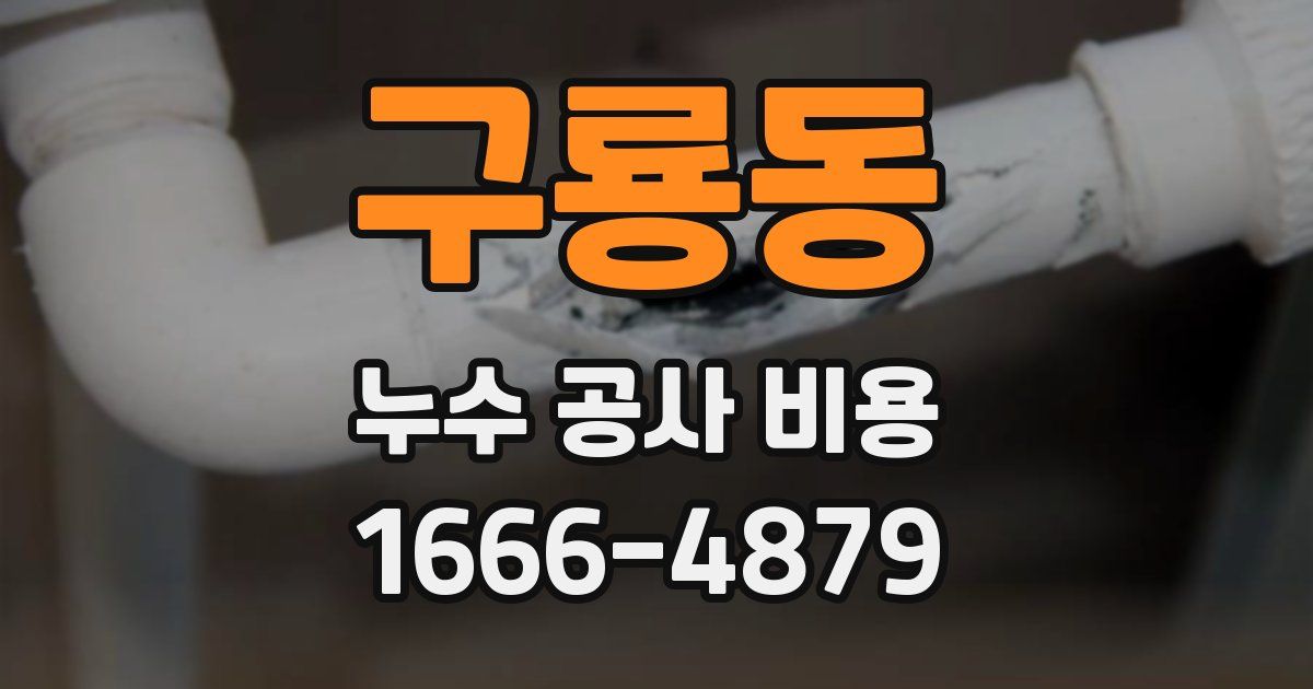 구룡동 누수 공사 비용