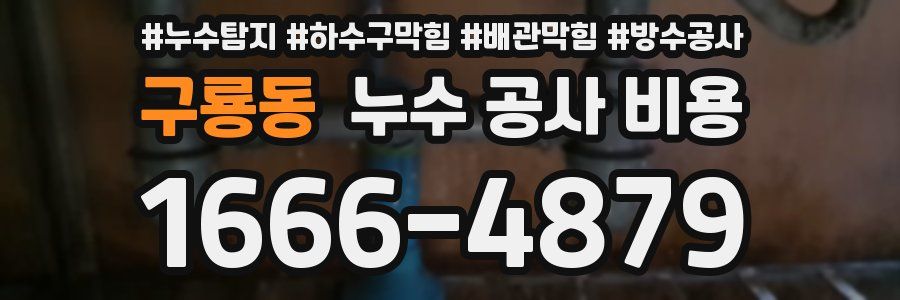 구룡동 누수 공사 비용