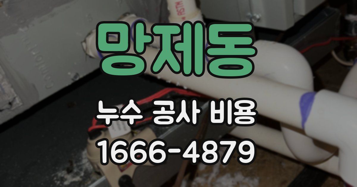 망제동 누수 공사 비용