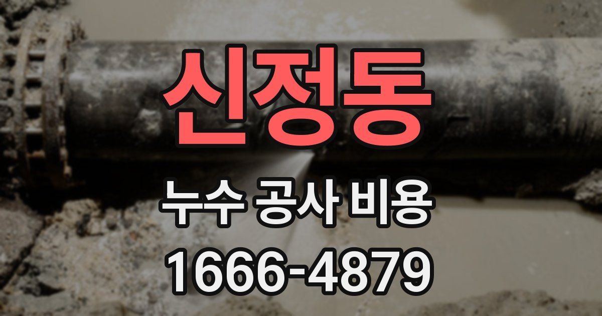 신정동 누수 공사 비용