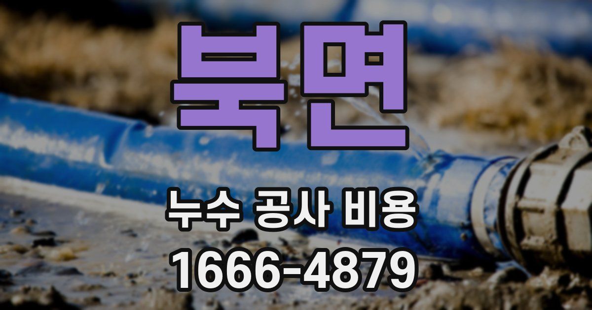 북면 누수 공사 비용
