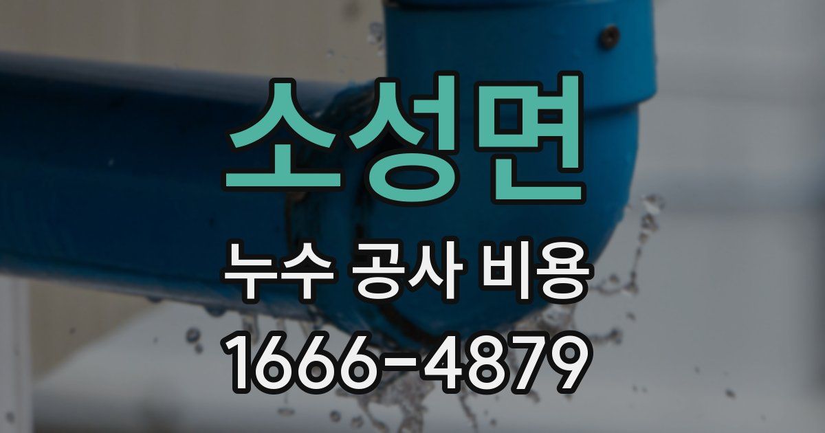 소성면 누수 공사 비용