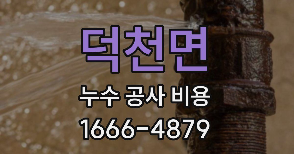 덕천면 누수 공사 비용