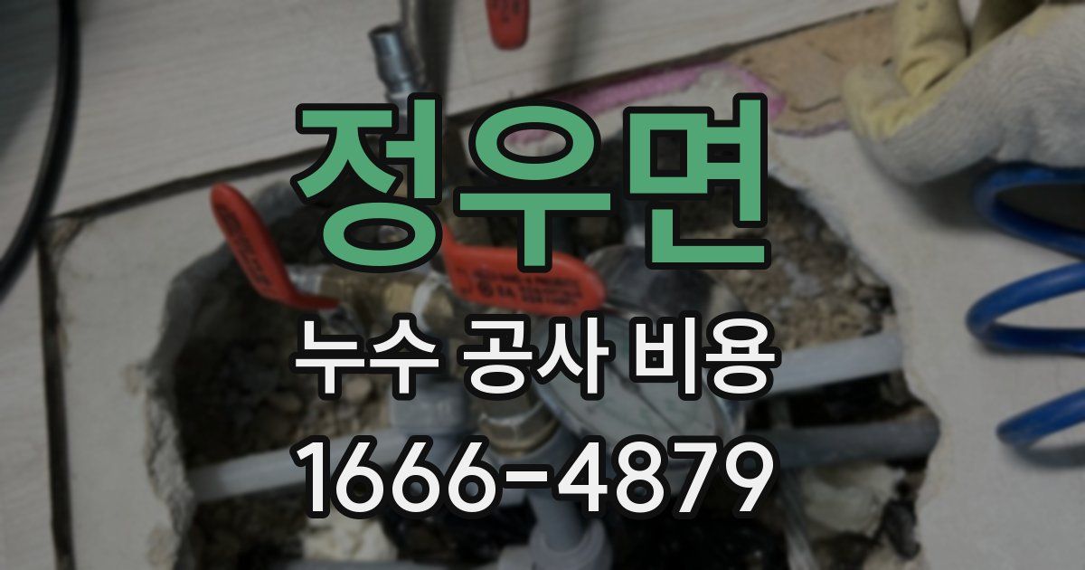 정우면 누수 공사 비용
