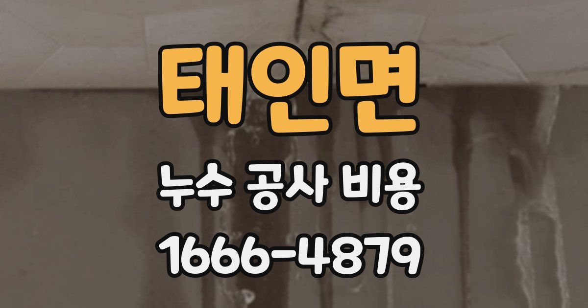 태인면 누수 공사 비용