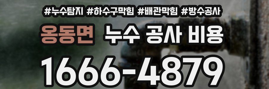 옹동면 누수 공사 비용