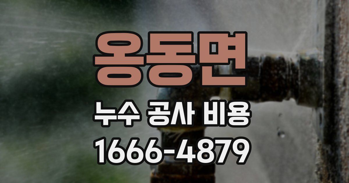 옹동면 누수 공사 비용