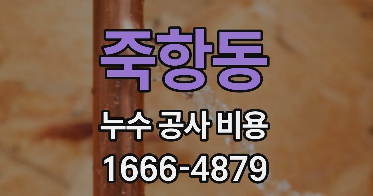 죽항동 누수 공사 비용