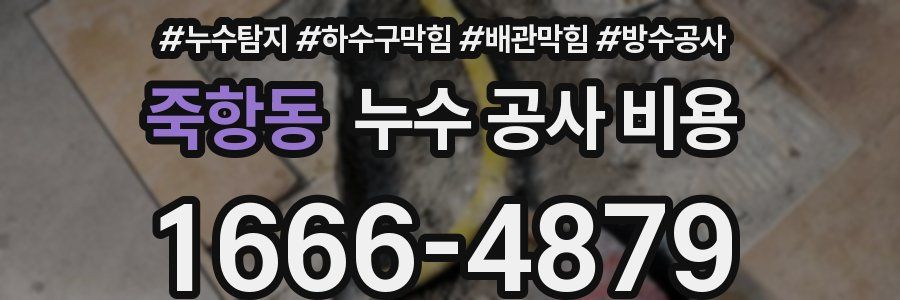 죽항동 누수 공사 비용