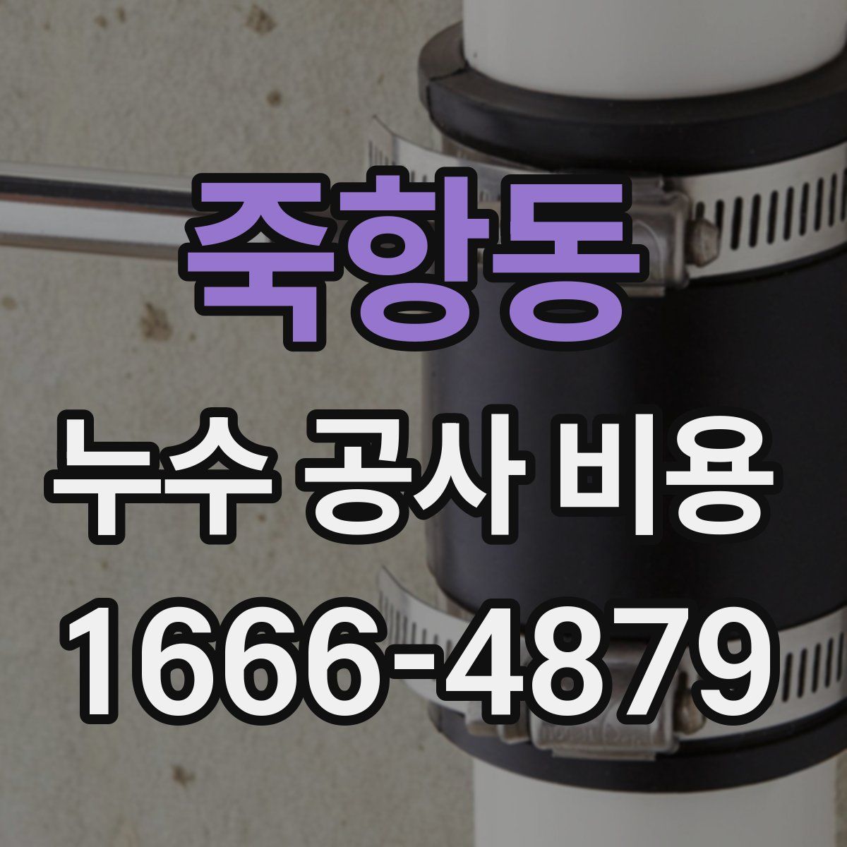죽항동 누수 공사 비용
