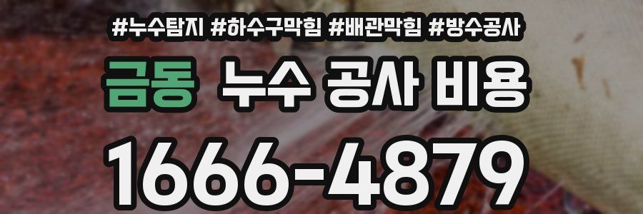 금동 누수 공사 비용