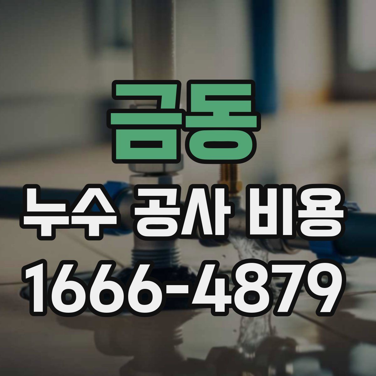 금동 누수 공사 비용