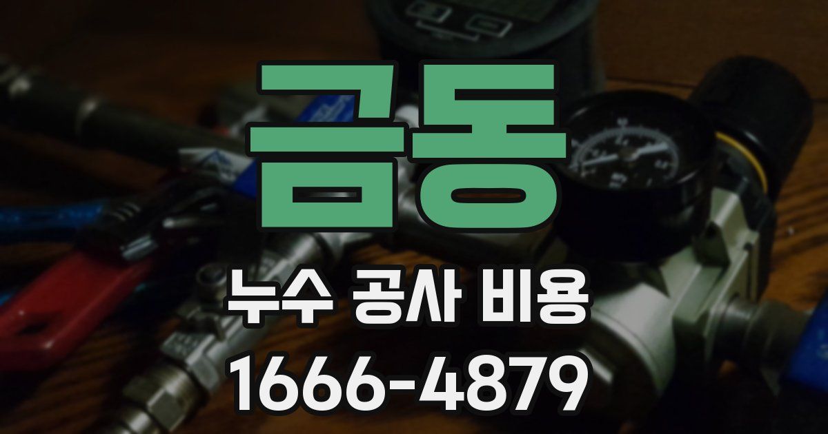 금동 누수 공사 비용
