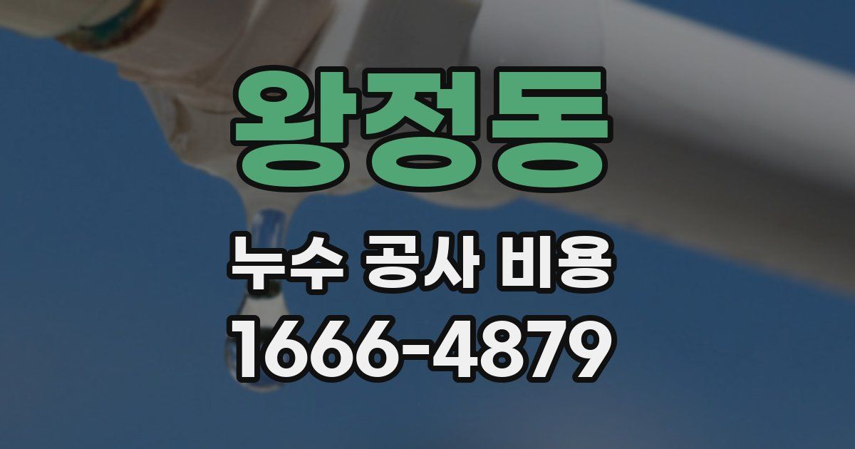 왕정동 누수 공사 비용