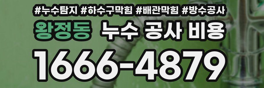 왕정동 누수 공사 비용