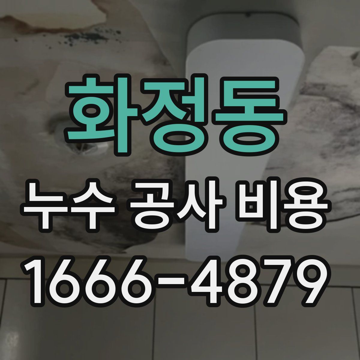 화정동 누수 공사 비용