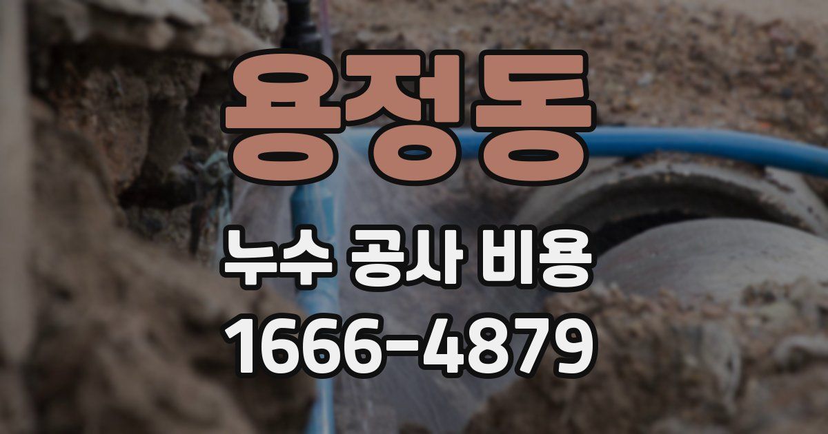 용정동 누수 공사 비용