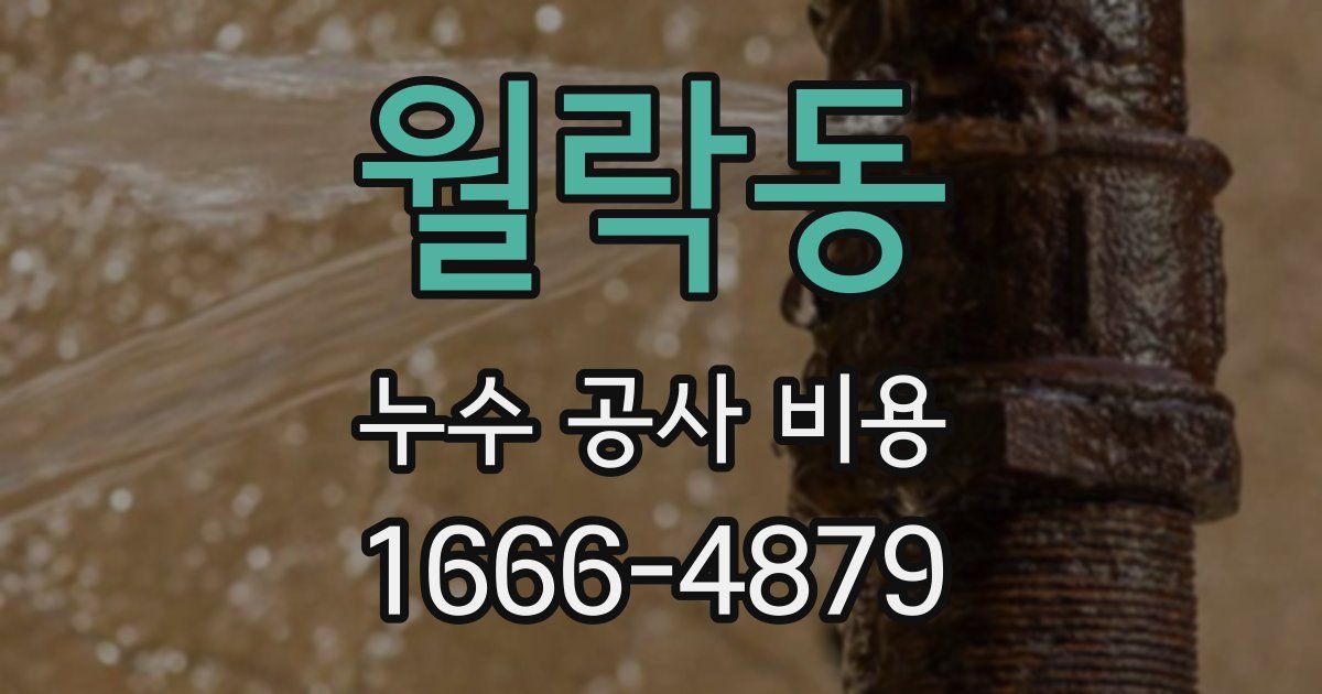 월락동 누수 공사 비용