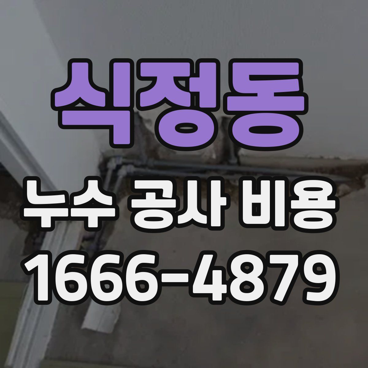 식정동 누수 공사 비용