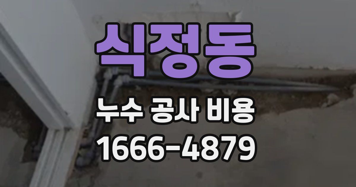 식정동 누수 공사 비용
