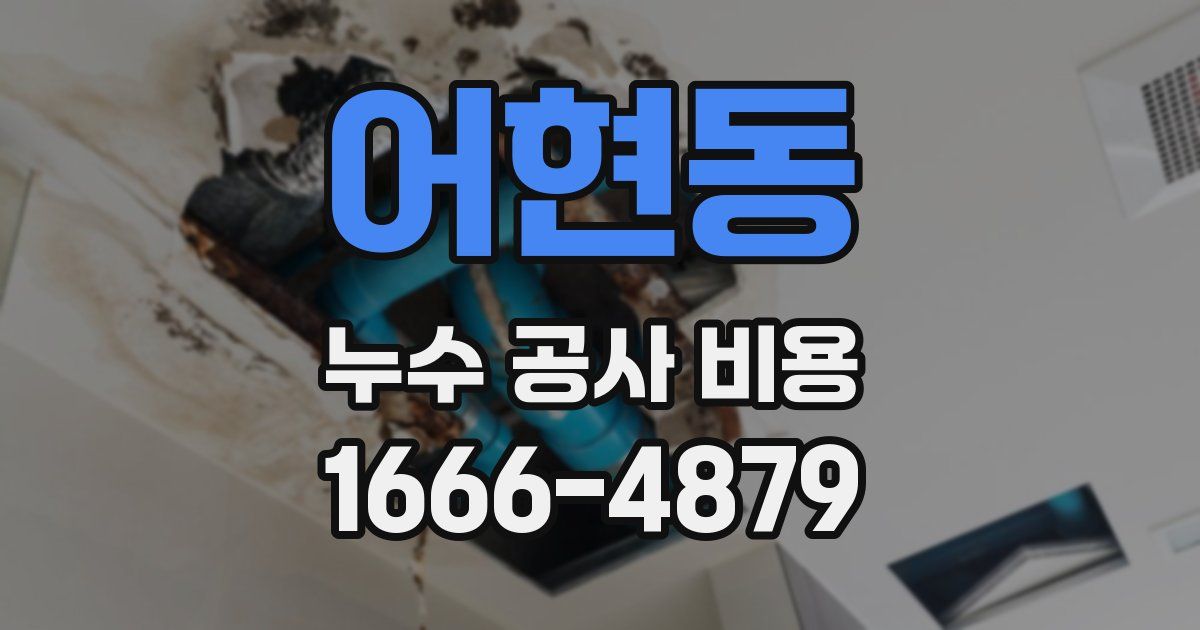 어현동 누수 공사 비용