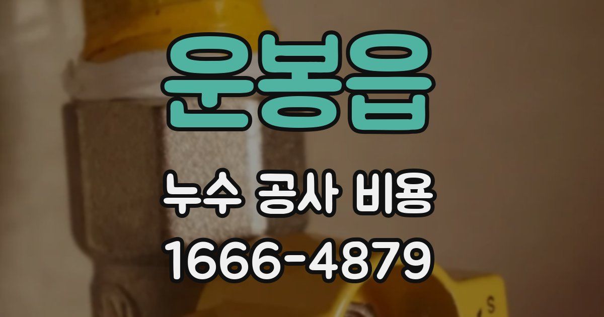 운봉읍 누수 공사 비용