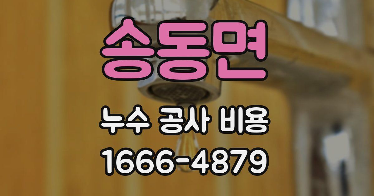 송동면 누수 공사 비용