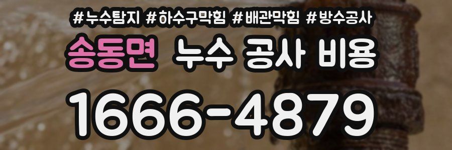 송동면 누수 공사 비용