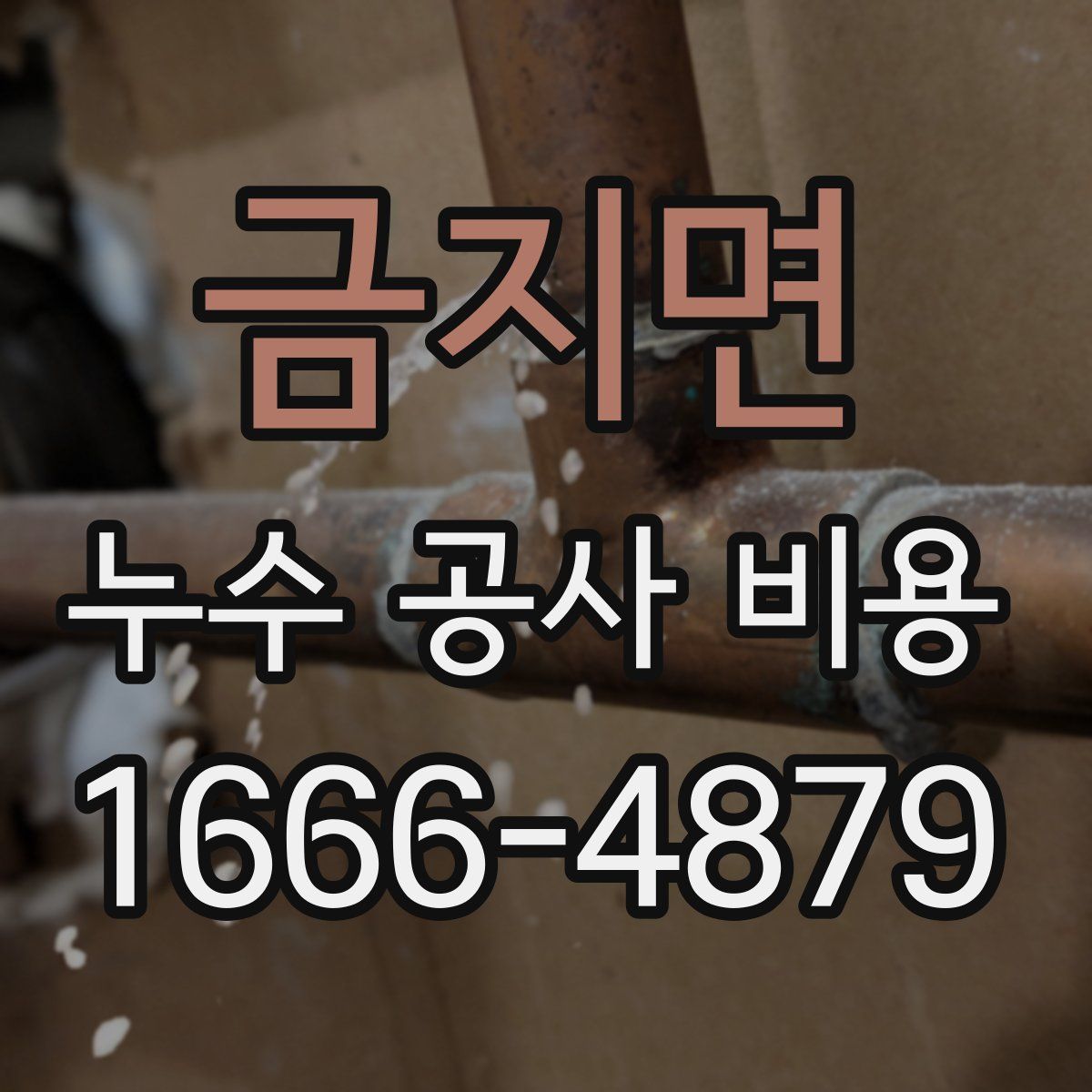 금지면 누수 공사 비용