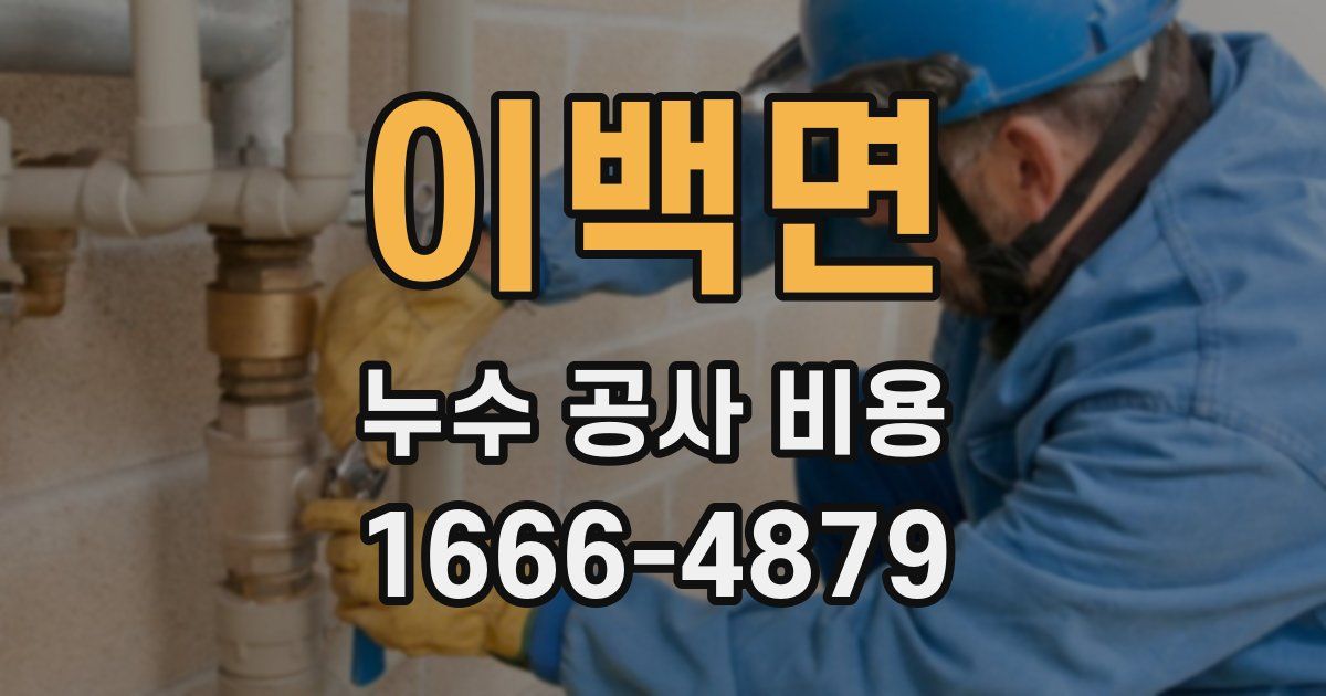 이백면 누수 공사 비용