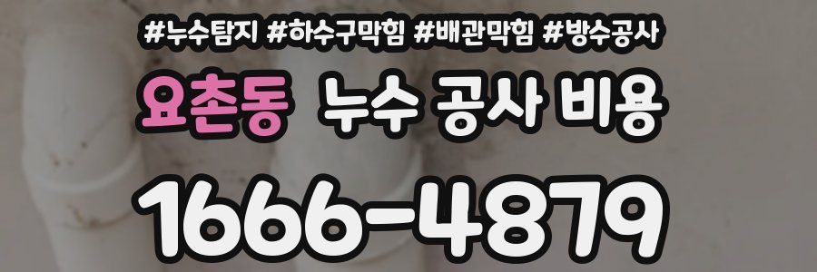 요촌동 누수 공사 비용