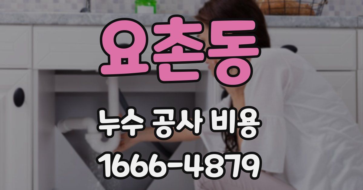 요촌동 누수 공사 비용