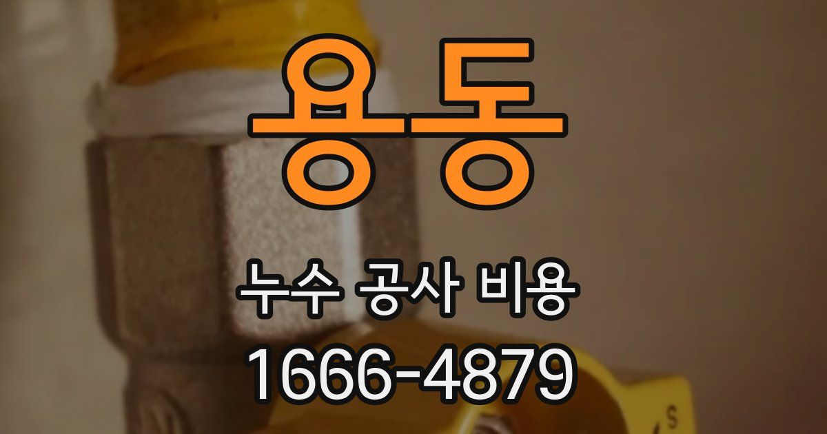 용동 누수 공사 비용