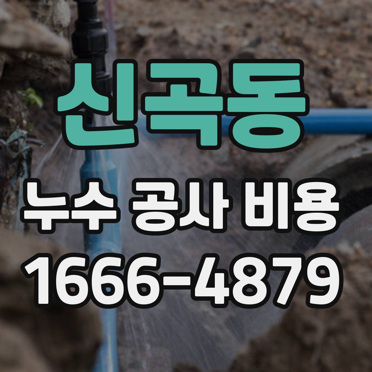 신곡동 누수 공사 비용