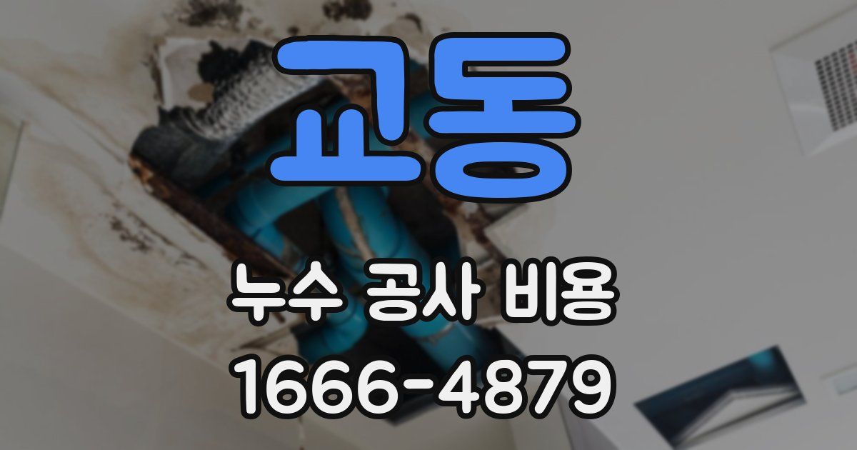 교동 누수 공사 비용