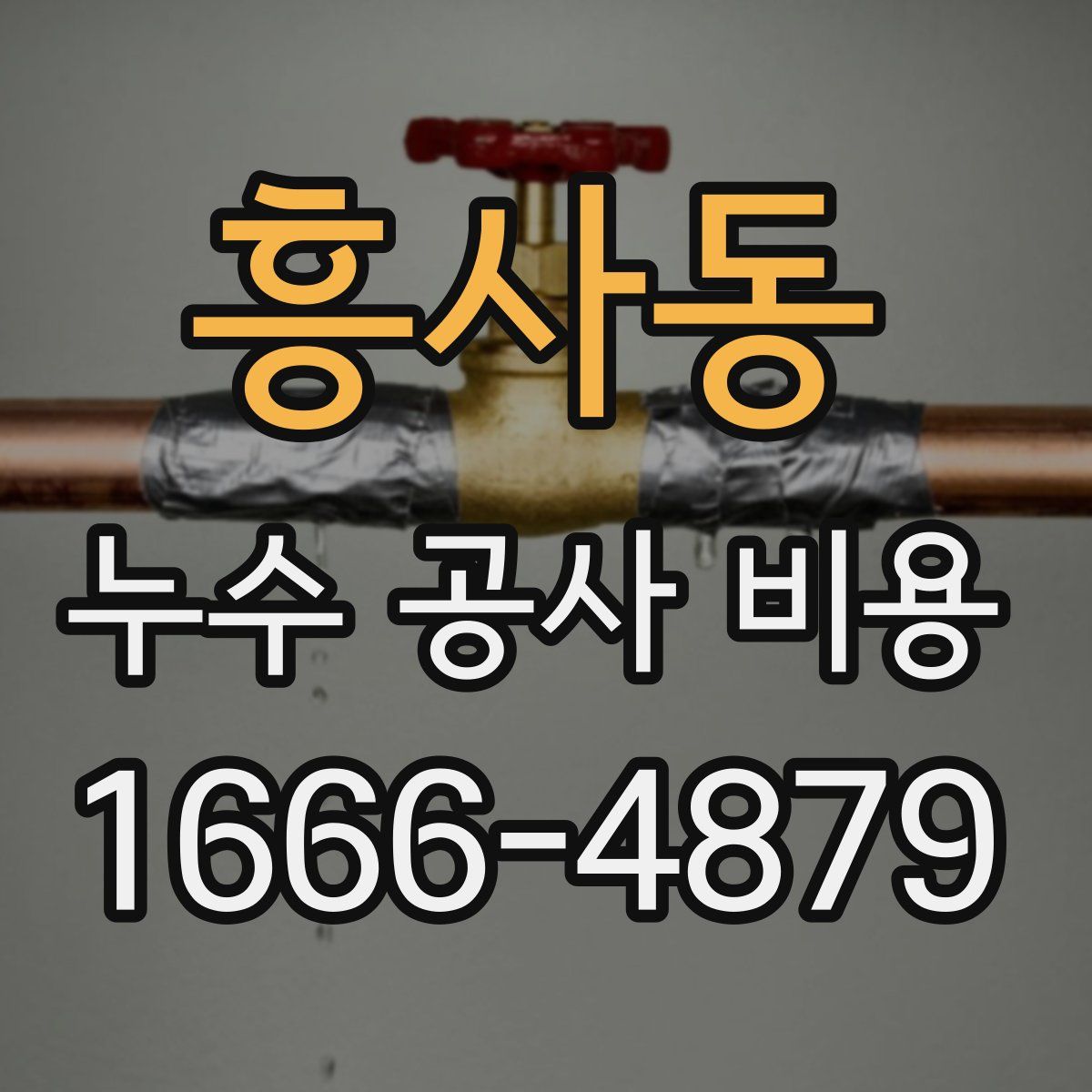 흥사동 누수 공사 비용